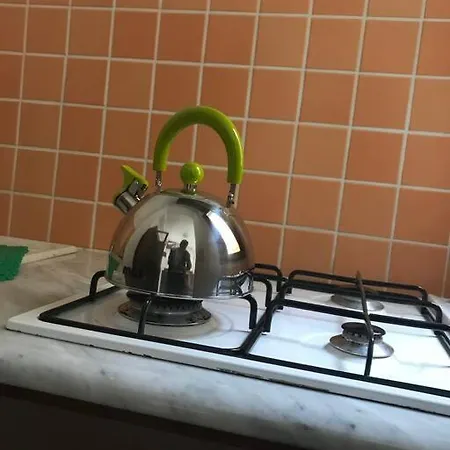 公寓 La Casetta Di Nonno Antonio 巴勒莫